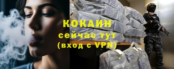 шишки Заволжье