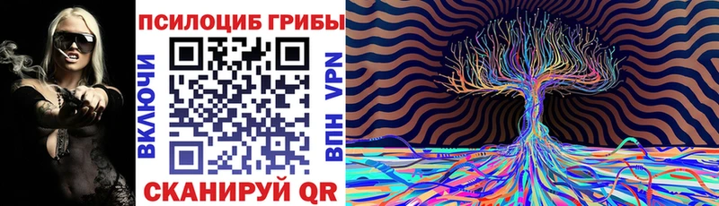 наркошоп  Черемхово  Псилоцибиновые грибы Cubensis 